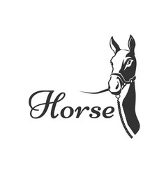 Horses Royalty Free Vector Image - VectorStock