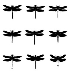 Dragonfly Silhouette Images : free for commercial use high quality