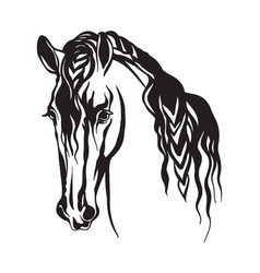 Beautiful portrait line black contour horse Vector Image