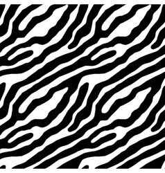 Zebra seamless pattern black hand drawn stripes Vector Image