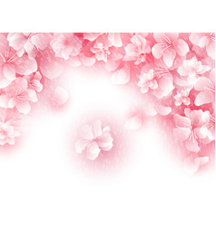 Cherry blossom background beautiful spring nature Vector Image