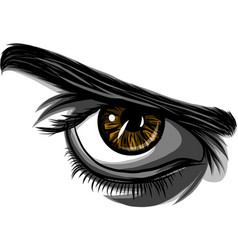 Detailed female eyes with long eyelashes Vector Image