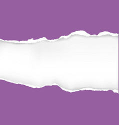 White ripped paper background Royalty Free Vector Image