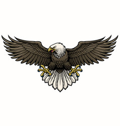 Bald eagle spreading his wings Royalty Free Vector Image