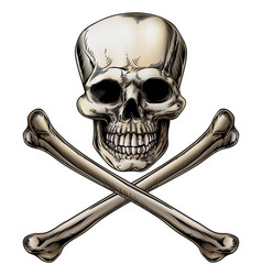 Engraving skull and bones Royalty Free Vector Image