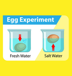 Science of water cycle Royalty Free Vector Image