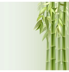 Bamboo frame background Royalty Free Vector Image