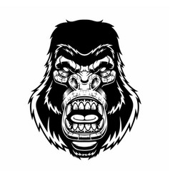 Angry gorilla head Royalty Free Vector Image - VectorStock