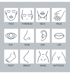 Body parts line icons set Royalty Free Vector Image