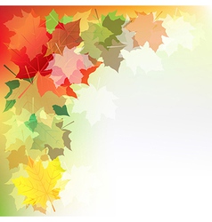 Autumn leaves Royalty Free Vector Image - VectorStock