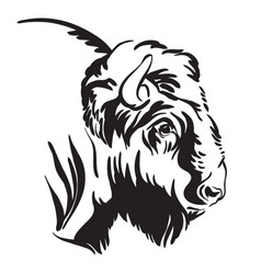 Buffalo Outline Vector Images (over 2,200)