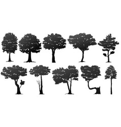 set of tree silhouette vector image