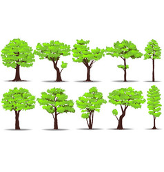 set of trees vector image