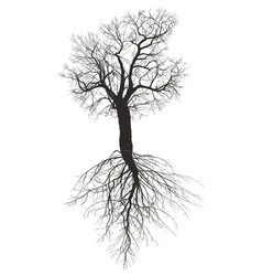 Bare tree with roots Royalty Free Vector Image