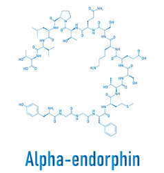 endorphin molecule