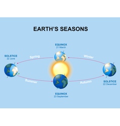 Earths seasons cycle Royalty Free Vector Image