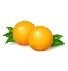 Ripe juicy orange with green Royalty Free Vector Image