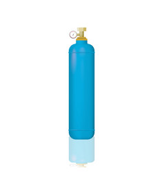 Medical oxygen cylinders Royalty Free Vector Image