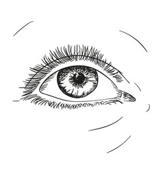Woman eye hand drawn sketch Royalty Free Vector Image