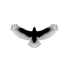 Engraving stylized hawk on white background Vector Image