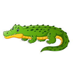 Cute baby crocodile cartoon Royalty Free Vector Image