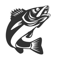 Walleye Vector Images (over 420)