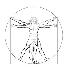 Vitruvian Vector Images (over 100)