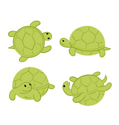 Turtle turning upside down Royalty Free Vector Image