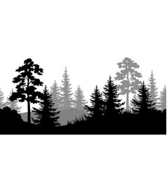 Seamless Background Summer Forest Silhouettes Vector Image