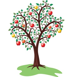 Apple tree Royalty Free Vector Image - VectorStock