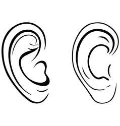 Drawing human ear outline Royalty Free Vector Image