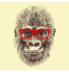 Hipster monkey logo Royalty Free Vector Image - VectorStock