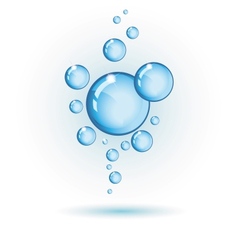 Bubbles Royalty Free Vector Image - VectorStock