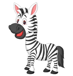 Cartoon funny zebra posing isolated on white backg