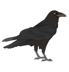 Crow Royalty Free Vector Image - VectorStock