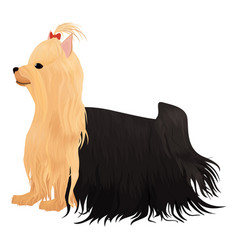 Yorkie Cartoon Vector Images 65