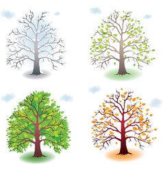 Four seasons Royalty Free Vector Image - VectorStock