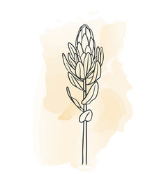 Wall creative icon design 15053379 vector art at vecteezy