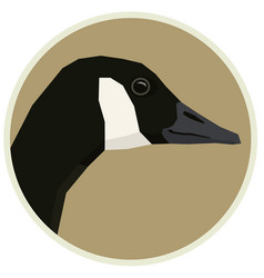 bufanda burberry barata