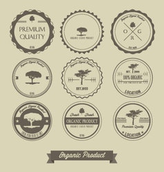Africa Label Design Royalty Free Vector Image - VectorStock
