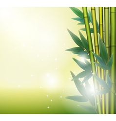 Glowing bamboo background Royalty Free Vector Image