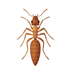 Cartoon ants in ant hill Royalty Free Vector Image