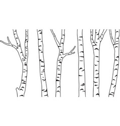 Birch Tree Vector Images (over 9,400)