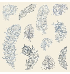 Feather set Royalty Free Vector Image - VectorStock