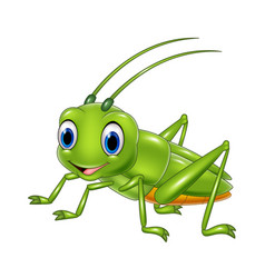 Cartoon happy grasshopper Royalty Free Vector Image