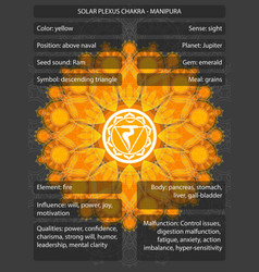 Chakras symbols with meanings infographic Vector Image