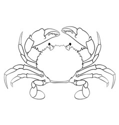 Crab Outline Vector Images (over 4,500)