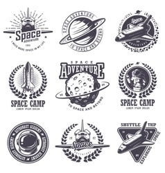 Vintage monochrome space labels set Royalty Free Vector