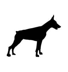 Download Doberman Pinscher Silhouette Vector Images (96)