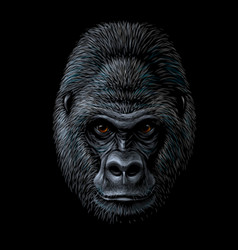 Ferocious gorilla head Royalty Free Vector Image